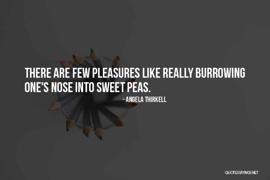 Ssi Quotes By Angela Thirkell Ssi Quotes By Angela Thirkell