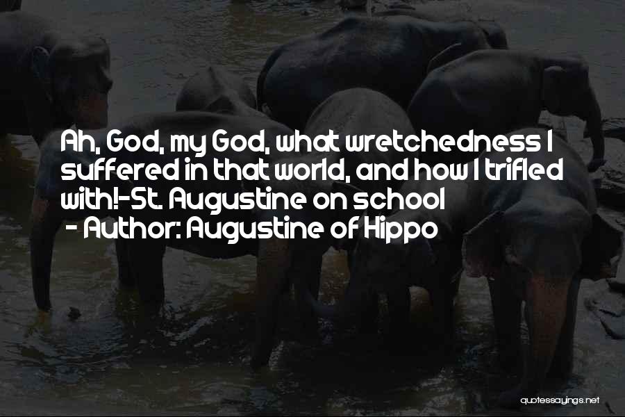 St. Augustine Of Hippo Quotes By Augustine Of Hippo