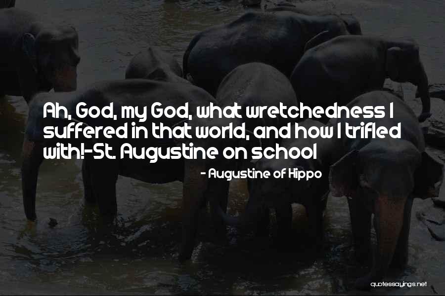 St. Augustine Of Hippo Quotes By Augustine Of Hippo