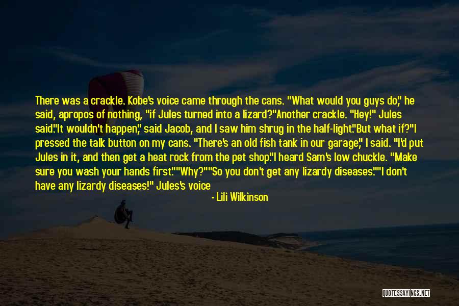 St Blov 1960 Quotes By Lili Wilkinson St Blov 1960 Quotes By Lili Wilkinson