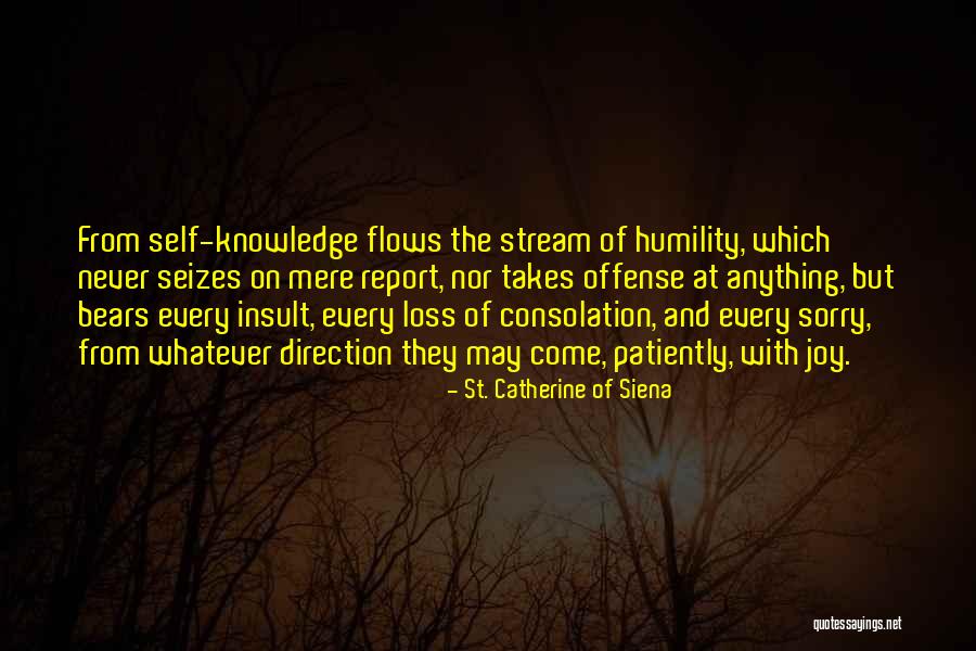 St. Catherine Of Siena Quotes 856961