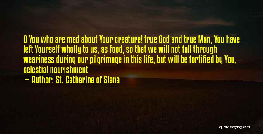 St Catherine Siena Quotes By St. Catherine Of Siena