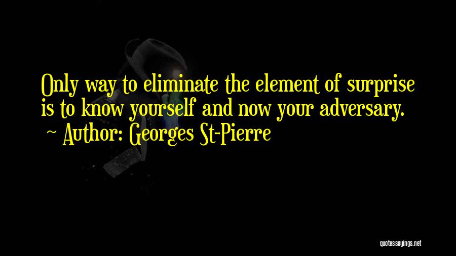 St.cecily Quotes By Georges St-Pierre