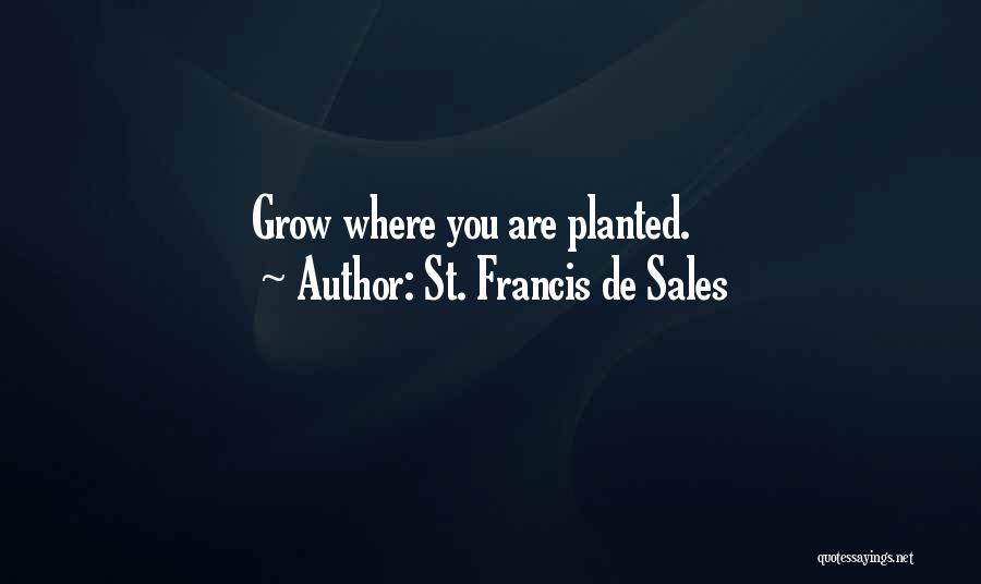 St. Francis De Sales Quotes 2019862
