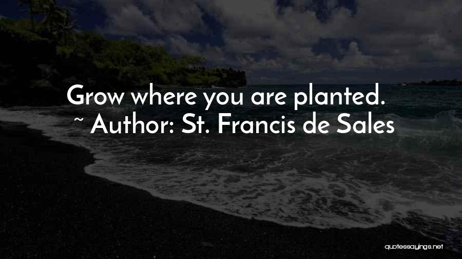 St Francis Quotes By St. Francis De Sales