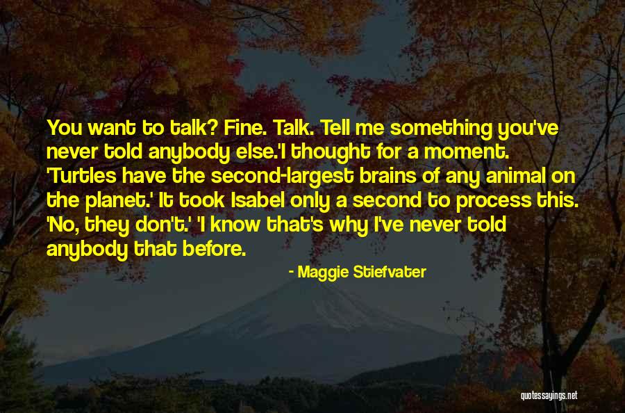 St Isabel Quotes By Maggie Stiefvater St Isabel Quotes By Maggie Stiefvater