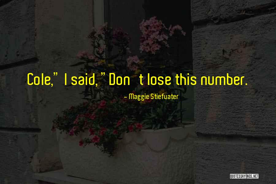 St Isabel Quotes By Maggie Stiefvater St Isabel Quotes By Maggie Stiefvater