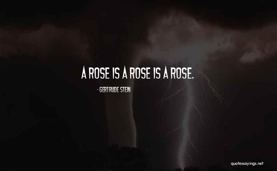 St Jerome Emiliani Quotes By Gertrude Stein St Jerome Emiliani Quotes By Gertrude Stein