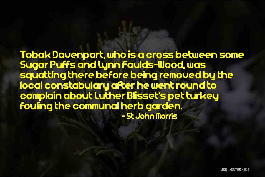 St John Morris Quotes 83591 St John Morris Quotes 83591