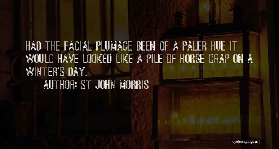 St John Morris Quotes 874036