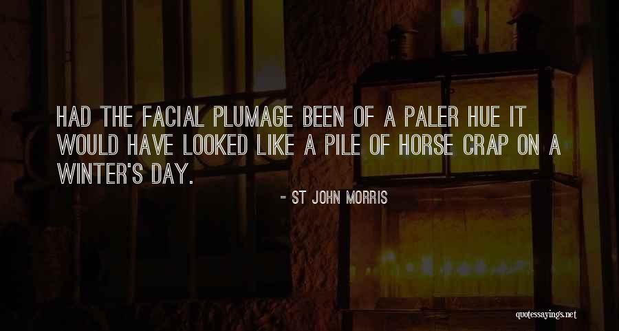 St John Morris Quotes 874036