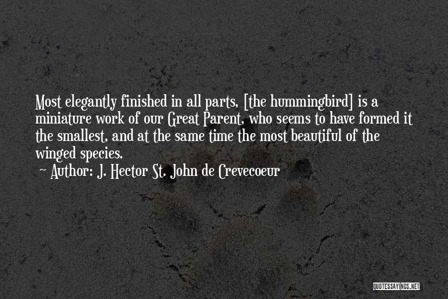 St John Quotes By J. Hector St. John De Crevecoeur