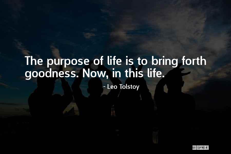 St Juliana Quotes By Leo Tolstoy St Juliana Quotes By Leo Tolstoy
