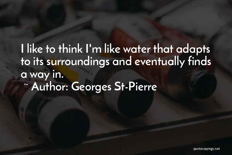 St Pierre Quotes By Georges St-Pierre