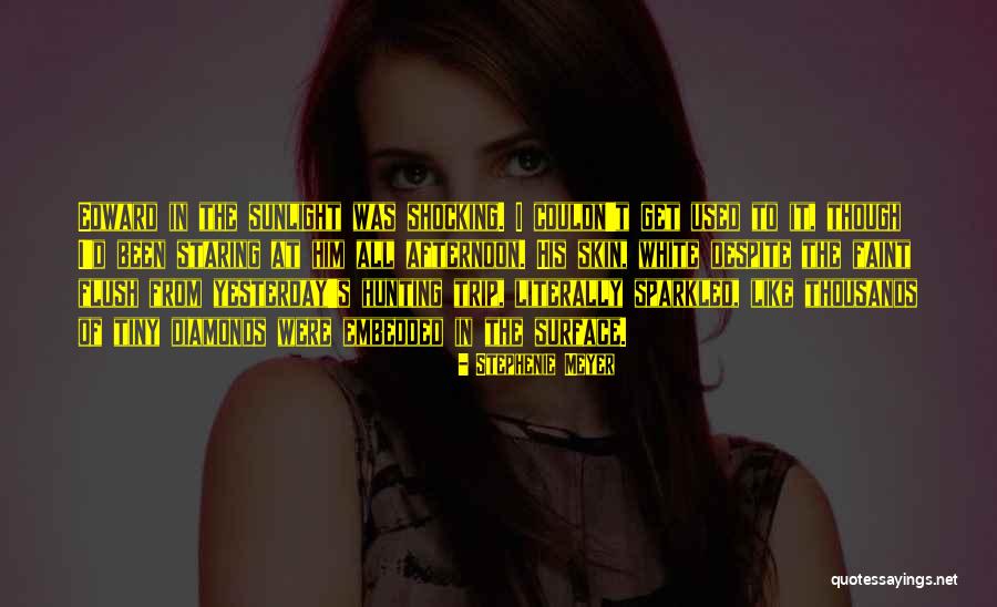 St Therese Of The Andes Quotes By Stephenie Meyer St Therese Of The Andes Quotes By Stephenie Meyer
