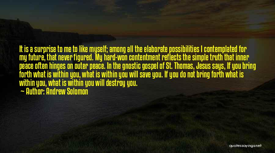 St Thomas Gospel Quotes By Andrew Solomon
