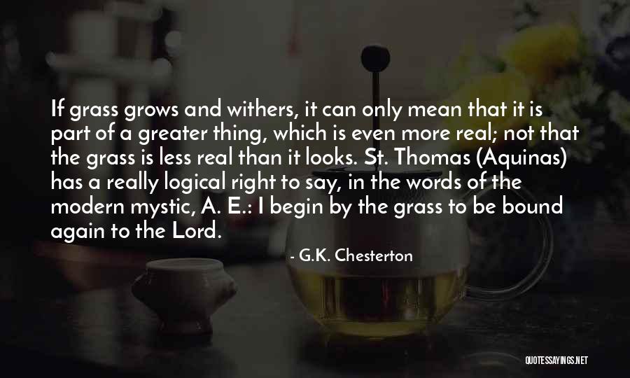 St Thomas More Quotes By G.K. Chesterton