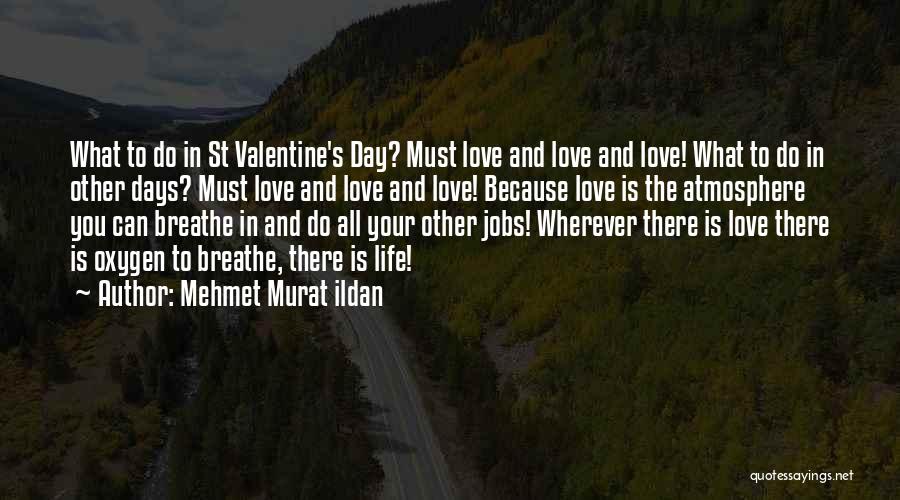 St Valentine's Day Quotes By Mehmet Murat Ildan