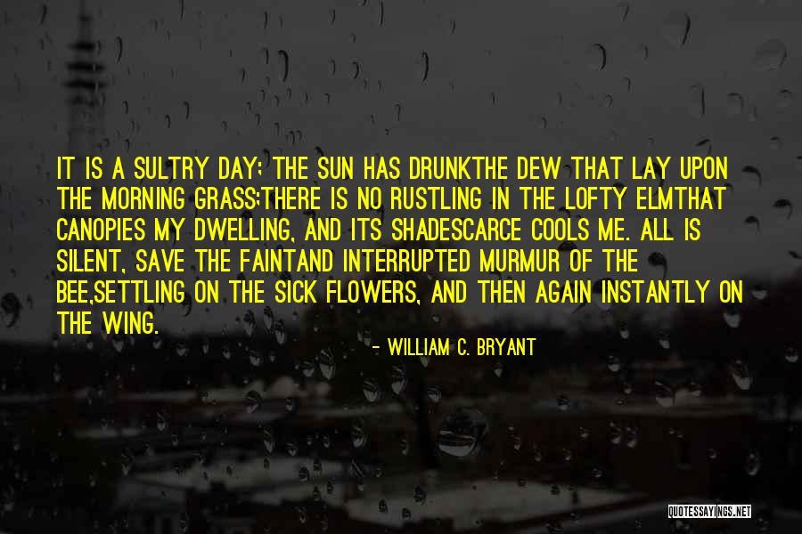 St Vincent And The Grenadines Quotes By William C. Bryant St Vincent And The Grenadines Quotes By William C. Bryant