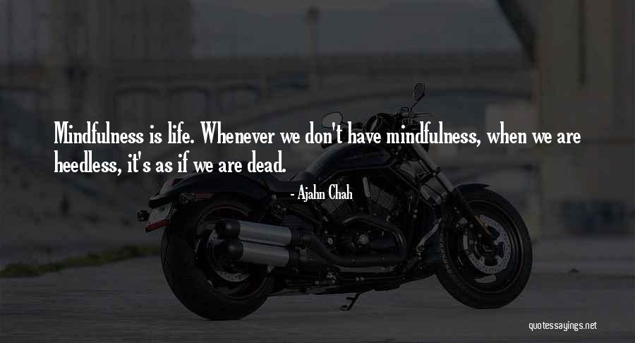 St Virginia Centurione Bracewell Quotes By Ajahn Chah St Virginia Centurione Bracewell Quotes By Ajahn Chah