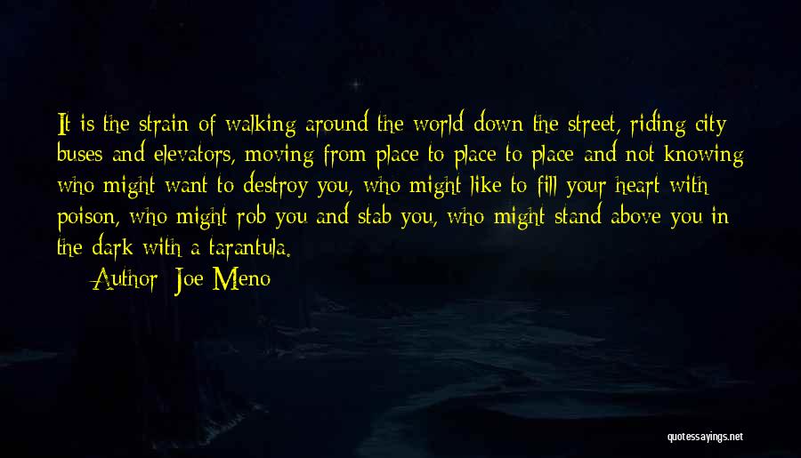 Stab Heart Quotes By Joe Meno