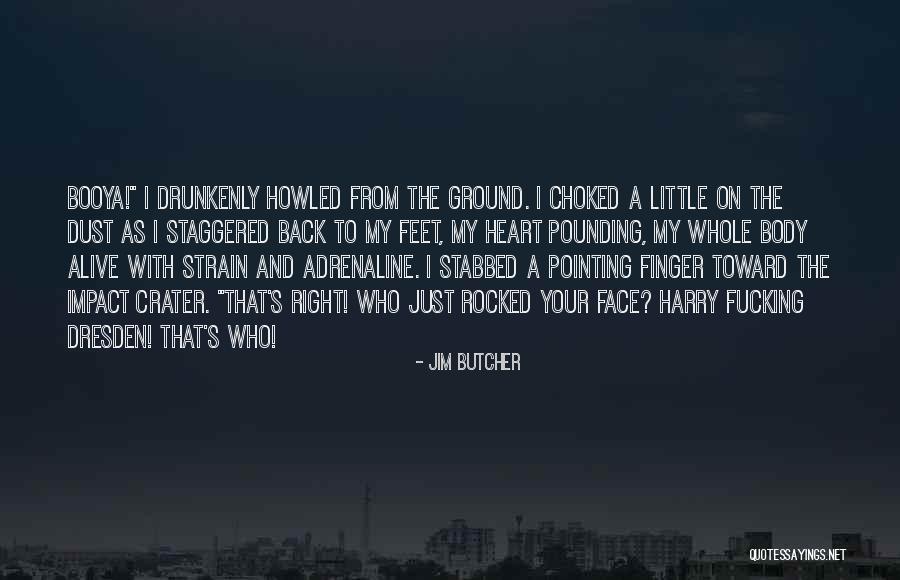 Stabbed My Back Quotes By Jim Butcher