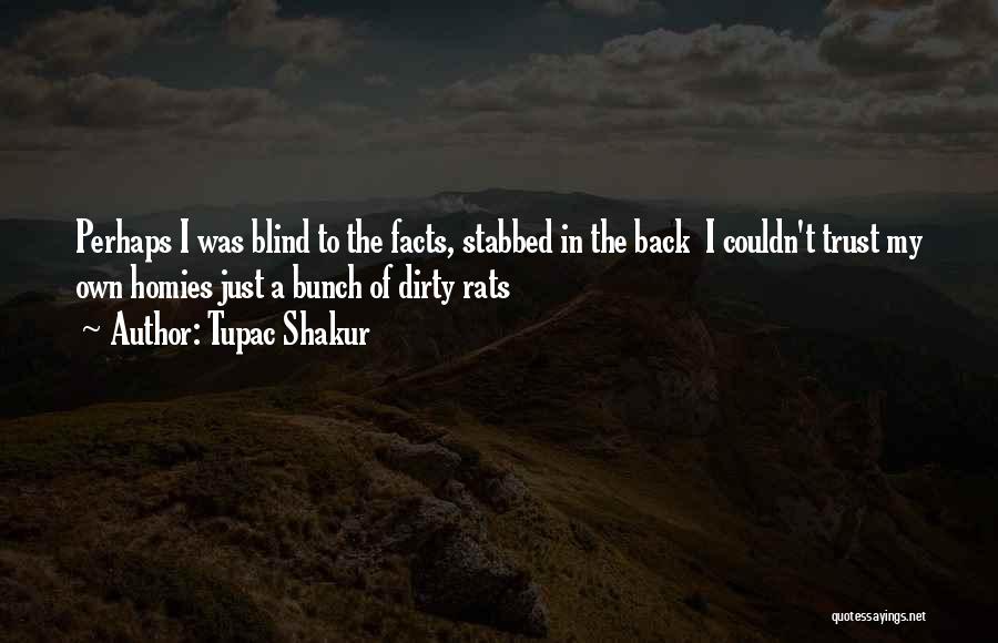 Stabbed My Back Quotes By Tupac Shakur