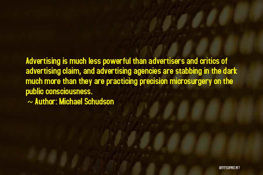 Stabbing Someone Quotes By Michael Schudson