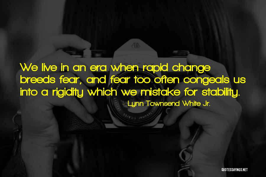 Stability And Change Quotes By Lynn Townsend White Jr.