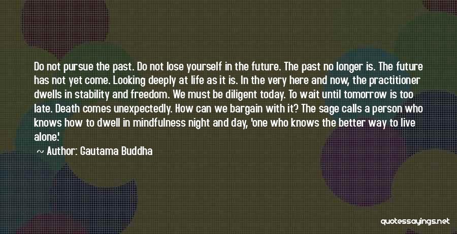 Stability And Freedom Quotes By Gautama Buddha