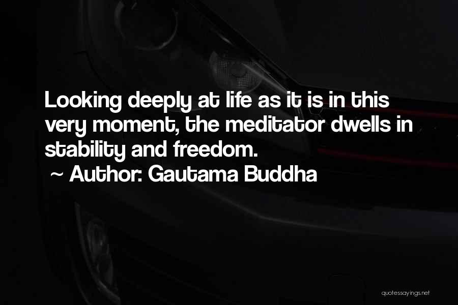 Stability And Freedom Quotes By Gautama Buddha