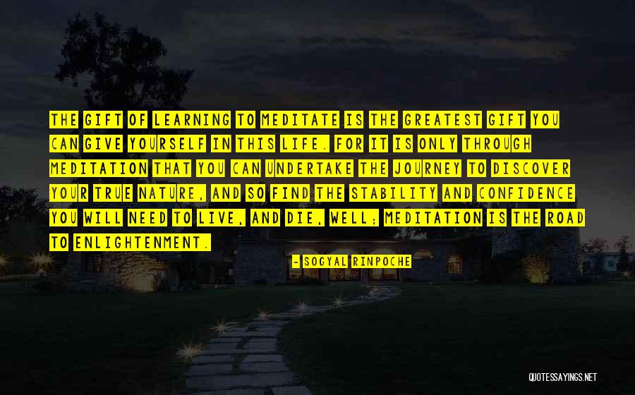 Stability In Life Quotes By Sogyal Rinpoche Stability In Life Quotes By Sogyal Rinpoche