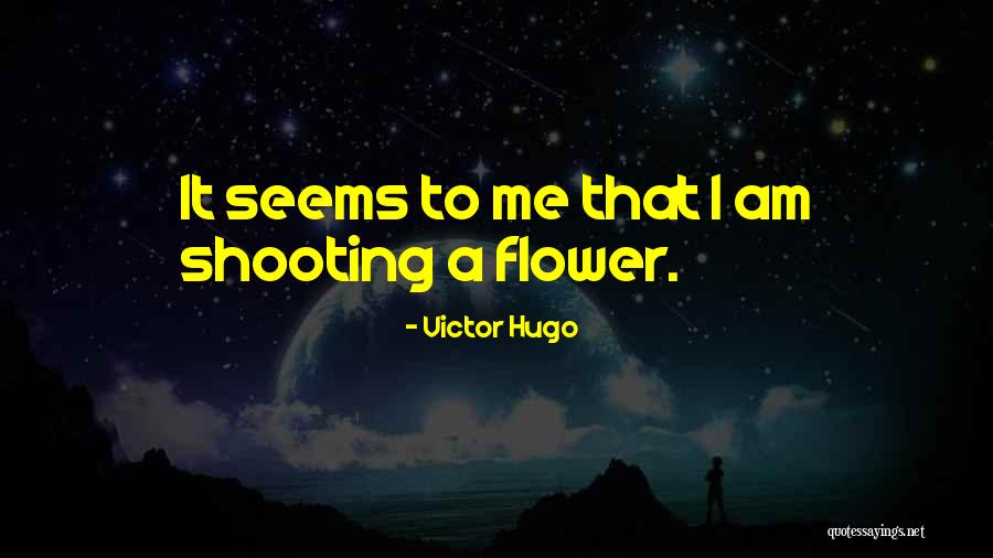 Stabilization Synonym Quotes By Victor Hugo Stabilization Synonym Quotes By Victor Hugo