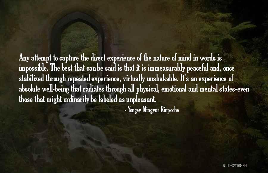 Stabilized Quotes By Yongey Mingyur Rinpoche Stabilized Quotes By Yongey Mingyur Rinpoche