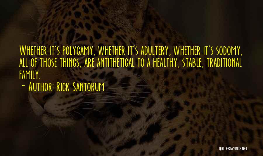 Stable Family Quotes By Rick Santorum