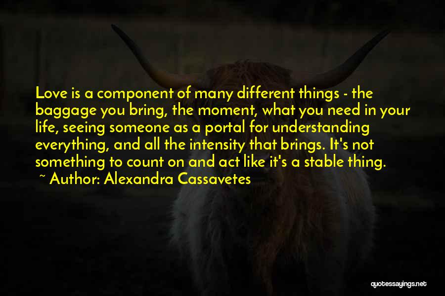 Stable Life Quotes By Alexandra Cassavetes