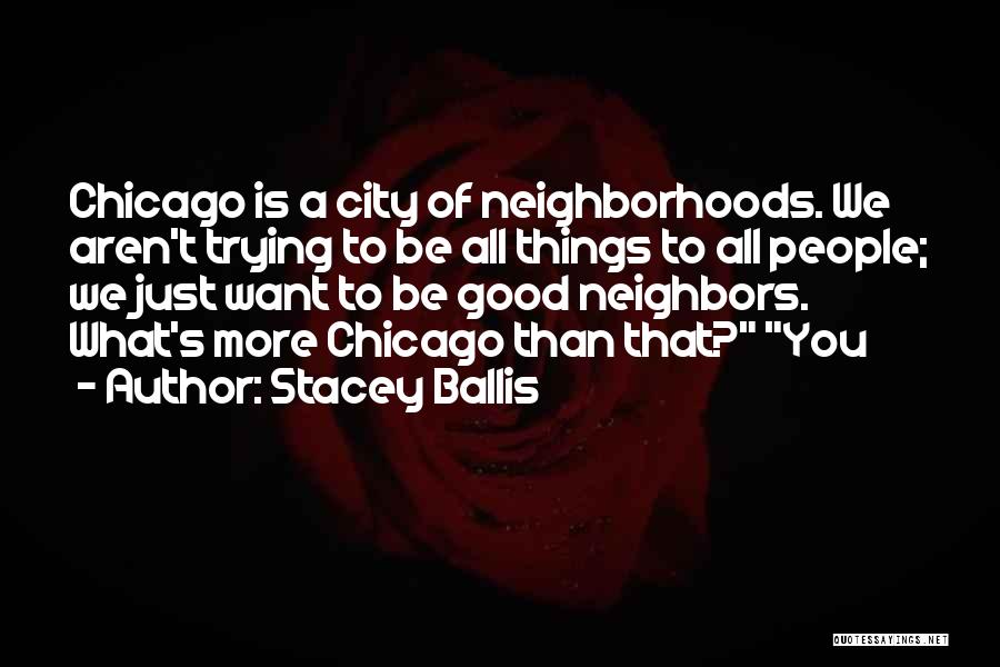 Stacey Ballis Quotes 1922009