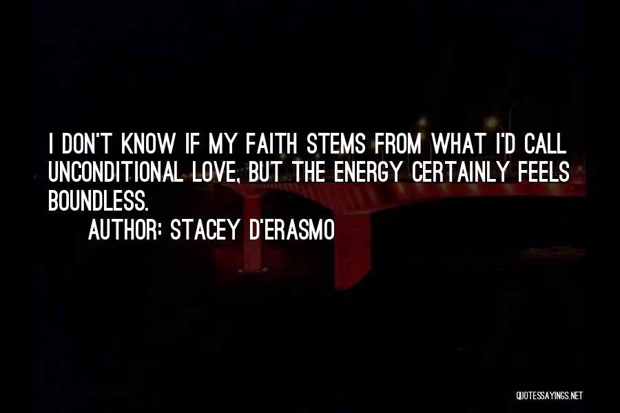 Stacey D'Erasmo Quotes 1735537