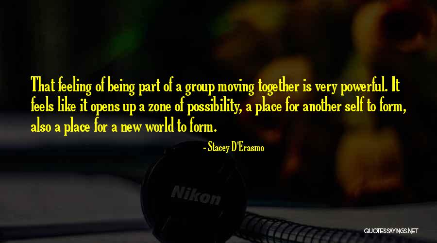 Stacey D'Erasmo Quotes 573180