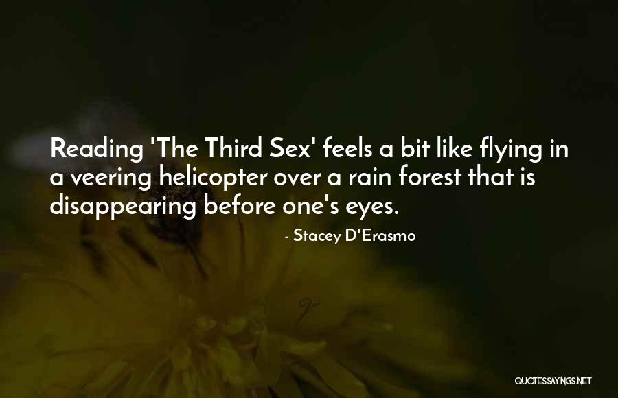 Stacey D'Erasmo Quotes 775503 Stacey D'Erasmo Quotes 775503