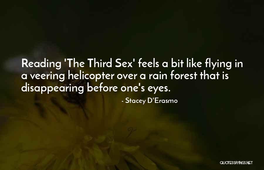 Stacey D'Erasmo Quotes 775503