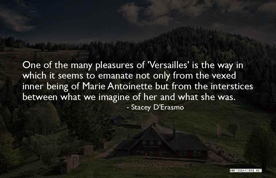 Stacey D'Erasmo Quotes 922439 Stacey D'Erasmo Quotes 922439