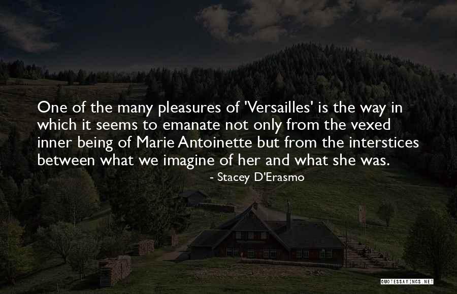 Stacey D'Erasmo Quotes 922439