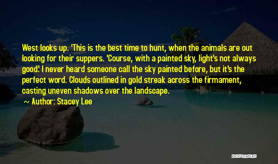 Stacey Lee Quotes 1012919