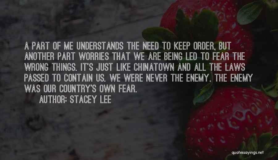 Stacey Lee Quotes 1197504