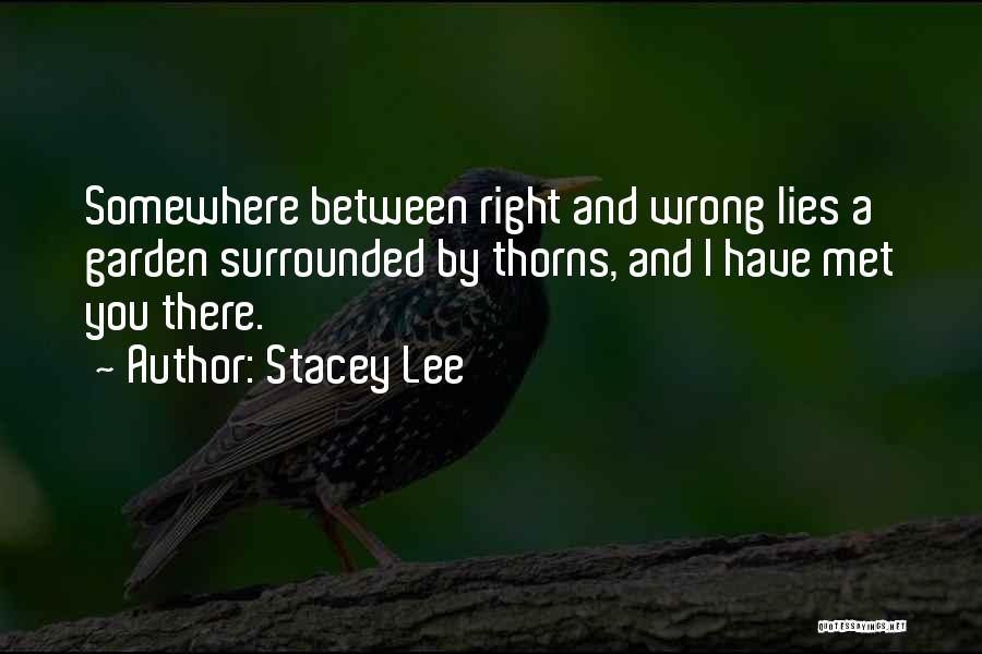 Stacey Lee Quotes 214082