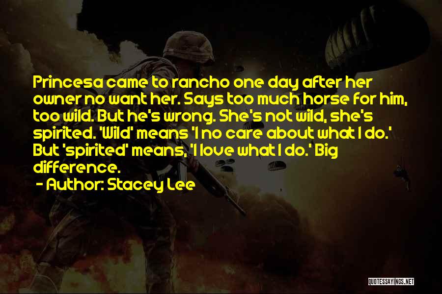 Stacey Lee Quotes 388021