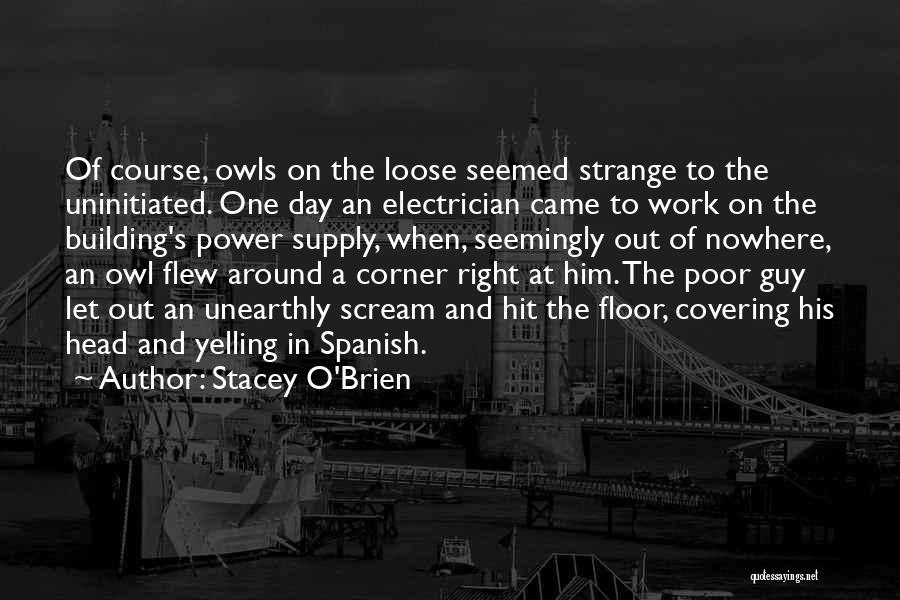 Stacey O'Brien Quotes 1192145