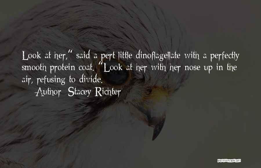 Stacey Richter Quotes 1166661