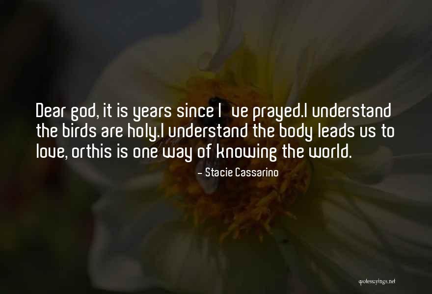 Stacie Cassarino Quotes 2211461